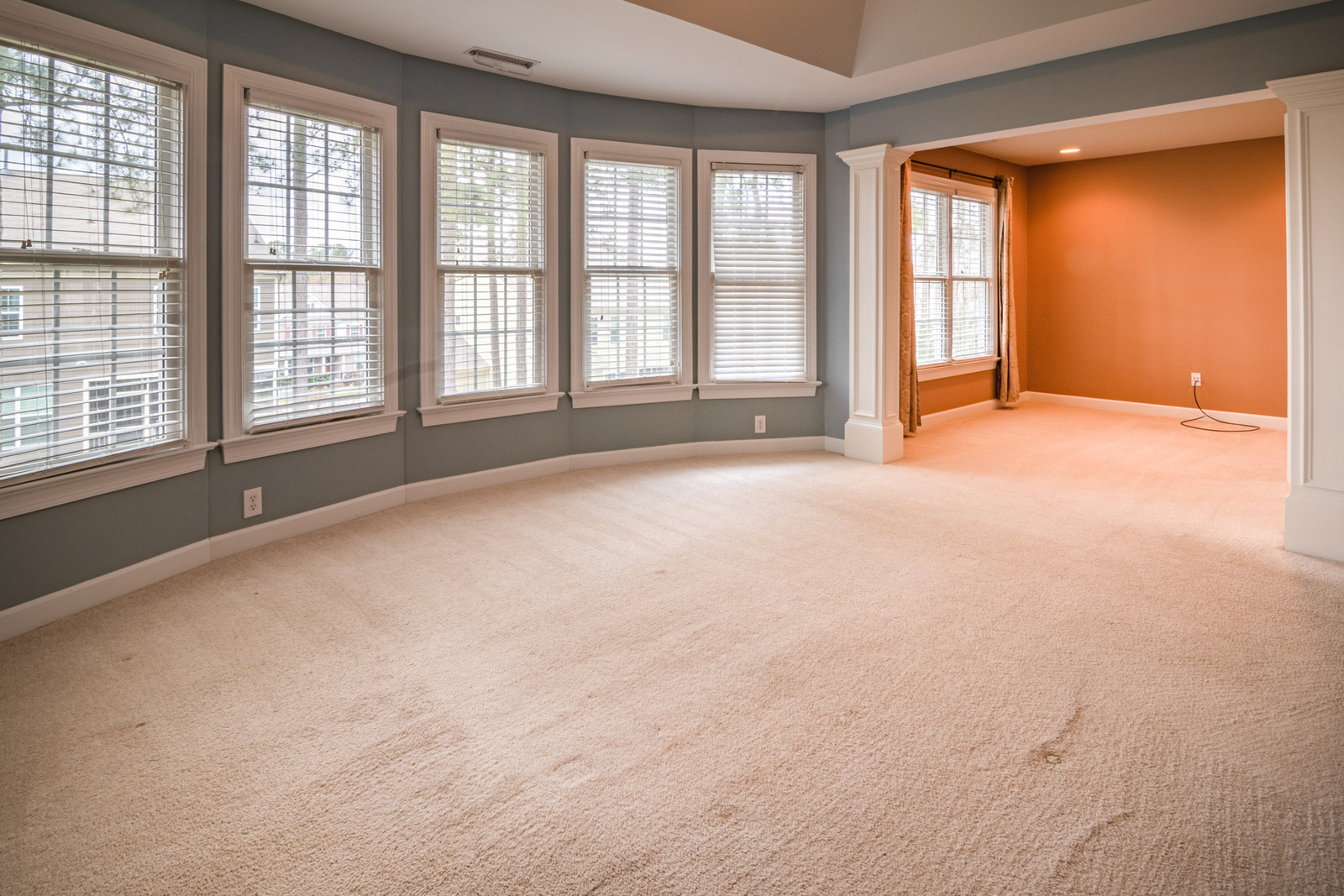 canva-living-room-with-plenty-windows-and-carpeted